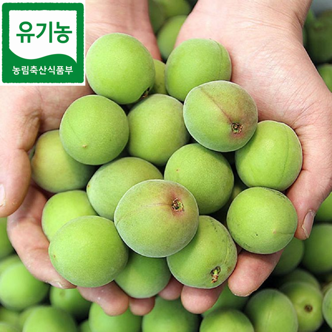 광양 유기농 매실 실속혼합과 매실청 장아찌용, 1박스, 2kg(혼합과)