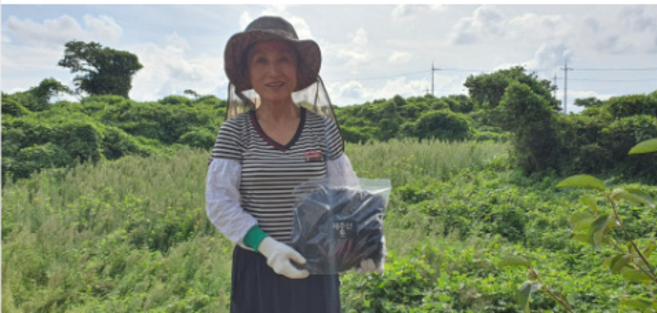 제주 건고사리 200g, 1개