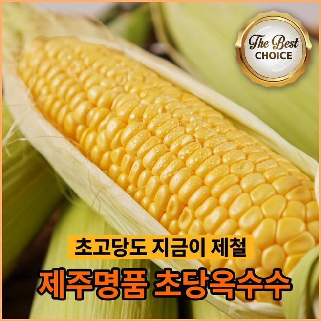 [OK농산] 제주 명품 초당옥수수 고당도 당일수확 항공직송, 20개, 특상품14cm