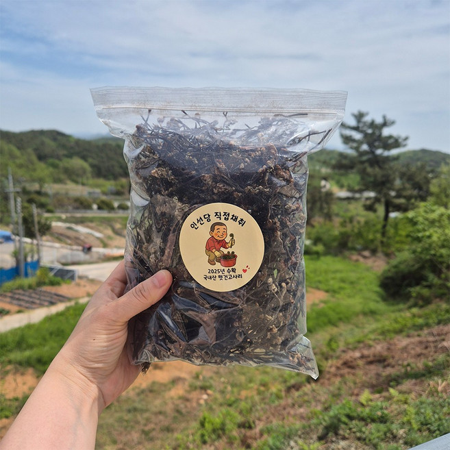 26년수확 국내산 전남 순천 삶은 햇 건고사리 야생 햇건고사리 직접채취 자연산 26년산 말린고사리, 100g, 1개
