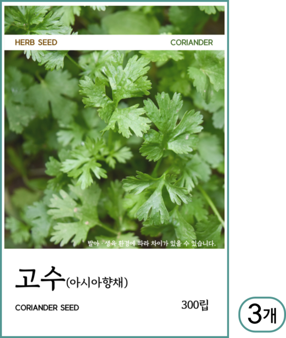 고수 씨앗 300립, 3개
