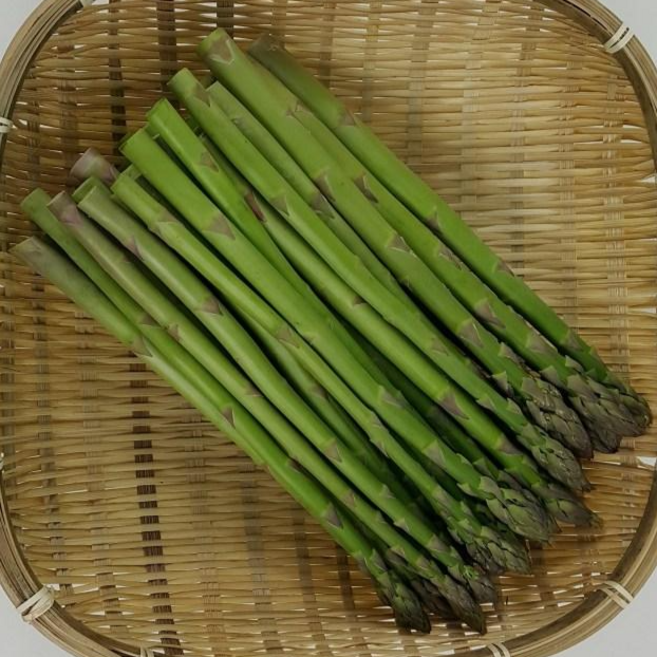 농가직송 국내산 생아스파라거스 정품 당일수확 당일배송, 500g, 1박스