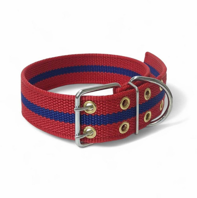 보헷 튼튼한 대형견 목줄 진돗개 리트리버 시골개 목걸이, 1개