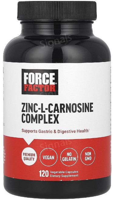 포스팩터 아연 L 카르노신 카노신 120캡슐 징크 Zinc Carnosine, 120정, 1개