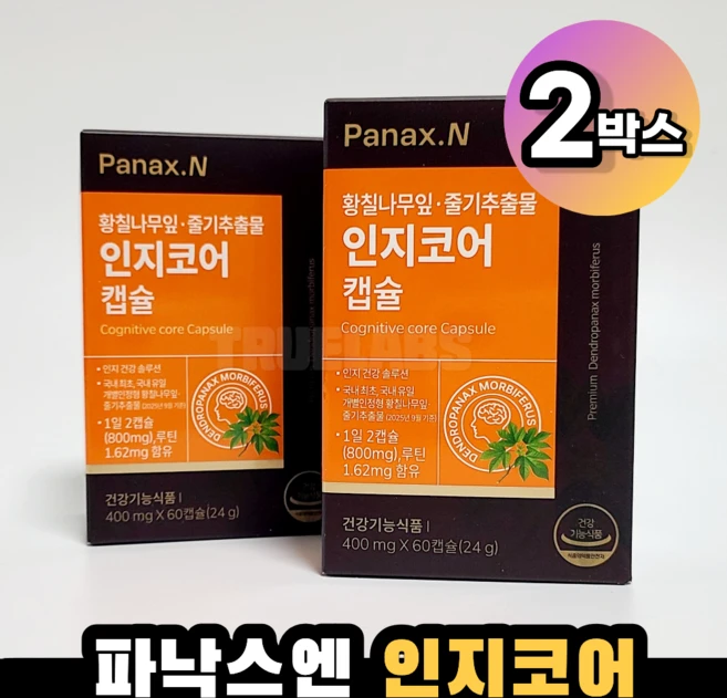 파낙스엔 인지코어 캡슐 2박스 황칠나무잎 줄기추출물, 60정 - 쿠팡