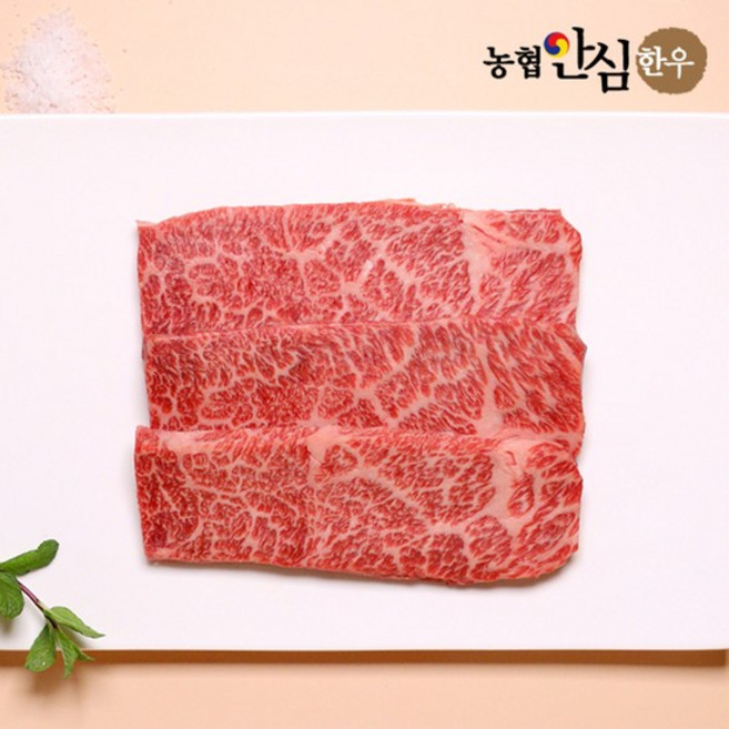 [농협안심한우][냉장]1++7 8 9등급 한우 살치살 200g, 단품, 단품