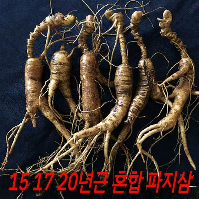 15년 17년 20년근 혼합 백두산 임하삼 산양산삼 장뇌삼 파삼 파지삼 산삼 못난이 250g, 1개