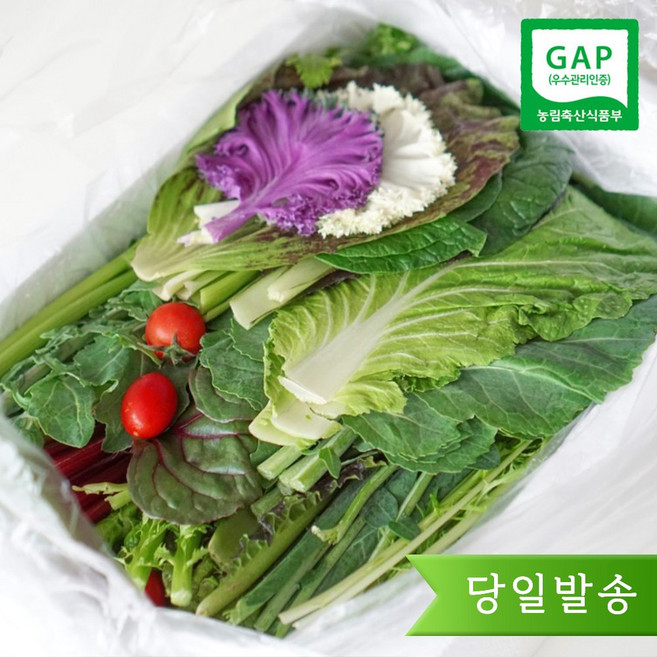 모듬채소 20종 클로렐라 쌈채소 상추 샐러드 유러피안 야채 600g-1.2kg, 1박스, 클로렐라쌈채소 800g