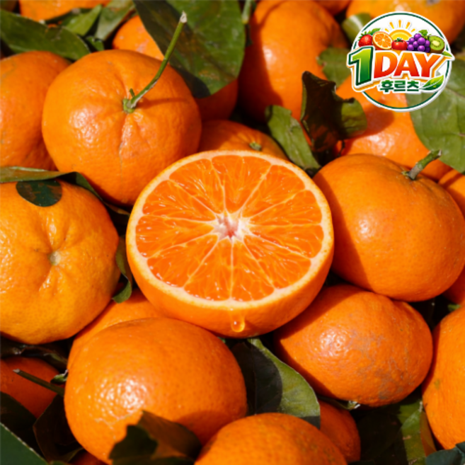 [제주도직송] 제주카라향 로얄과 당도선별 과즙폭발, 1박스, 10kg로얄과