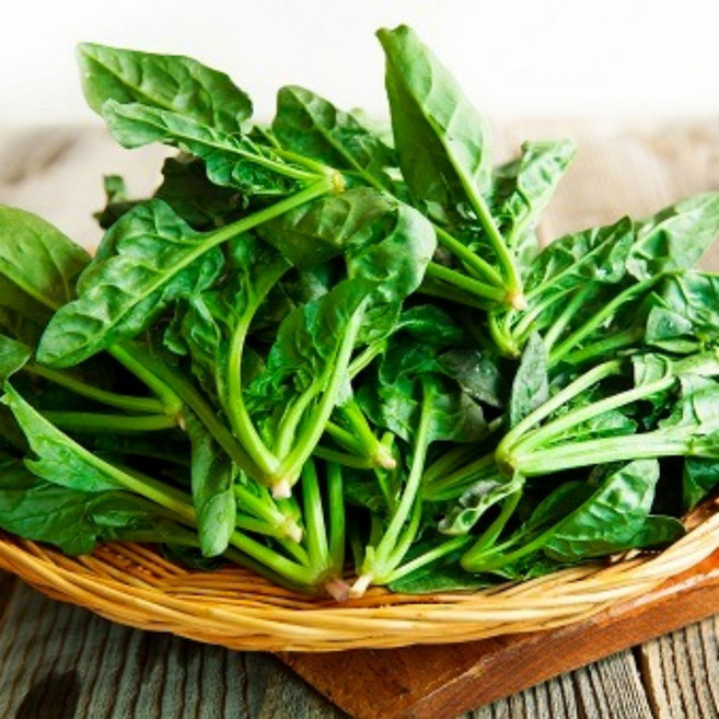 [당일 수확] 해풍 맞은 달큰시원 남해 시금치, 1박스, 500g