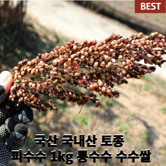 [국내산/국산] 국산 햇 피수수 1kg 10kg 통수수 수수쌀 국산수수 껍질있는수수 껍질수수 수수차 당일수확, 1개