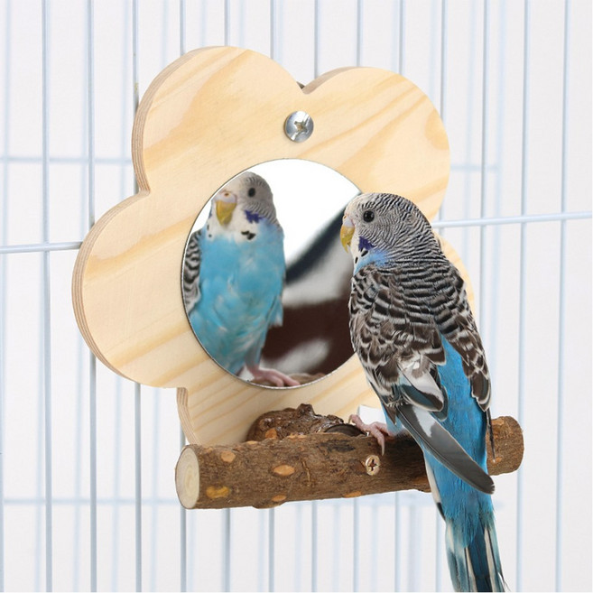 레브펫 앵무새 거울 횃대, 1개, 혼합색상