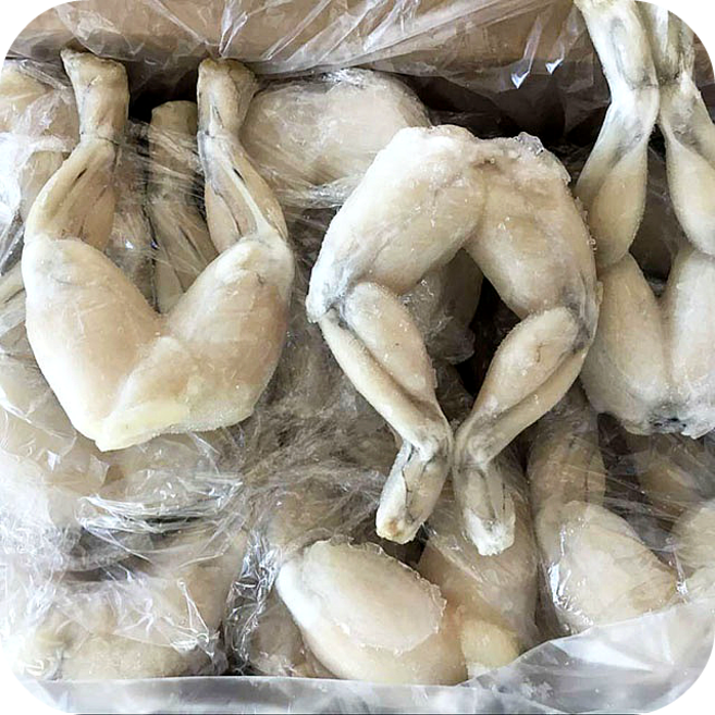 개구리반찬 개구리튀김 개구리장 개구리볶음 식용 개구리 냉동발송, 1개, 450g