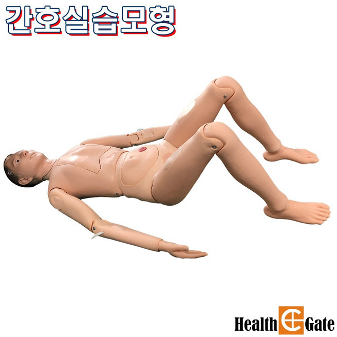 Nursing 실습마네킹 표준인체사이즈 전신 170cm 15kg 간호실습모형 PCM-100B, 1개