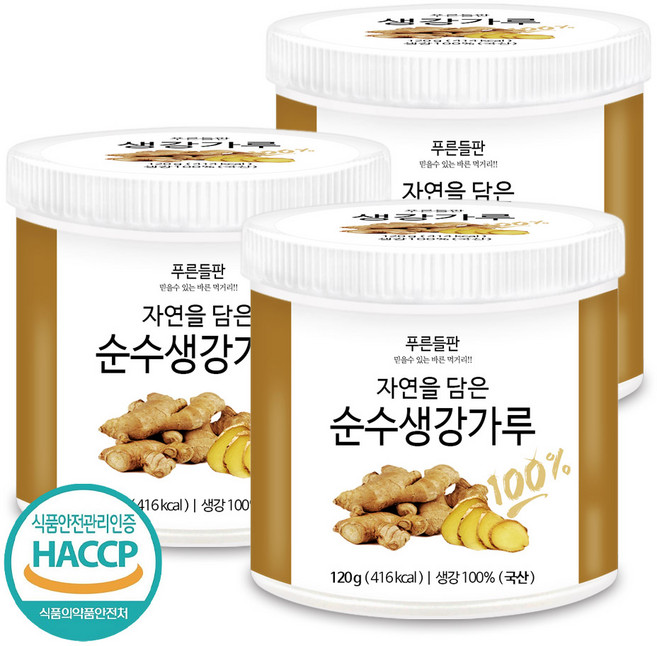 푸른들판 국산 생강 가루 분말 100% HACCP 인증 생강차 진저 파우더 조미료 향신료, 120g, 1개입, 3개