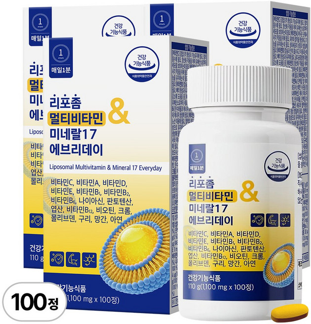 매일1분 리포좀 멀티비타민 & 미네랄 17 에브리데이 식약청인증, 3개, 100정