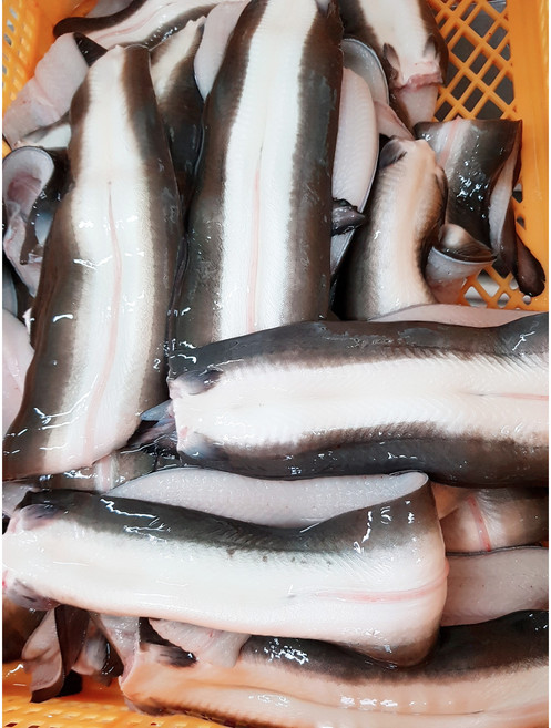 상원장어랜드 민물장어 자포니카 1kg 2~3마리 손질후 750g 소스같이 당일발송, 1개
