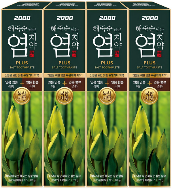 2080 플러스 염 치약, 120g, 4개