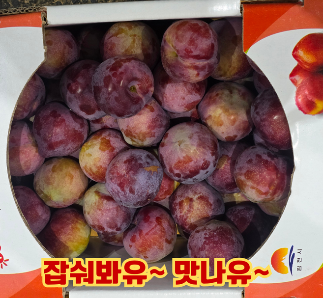 9위 - 극강 새콤달콤 빨간자두 피자두, 1개, 1kg