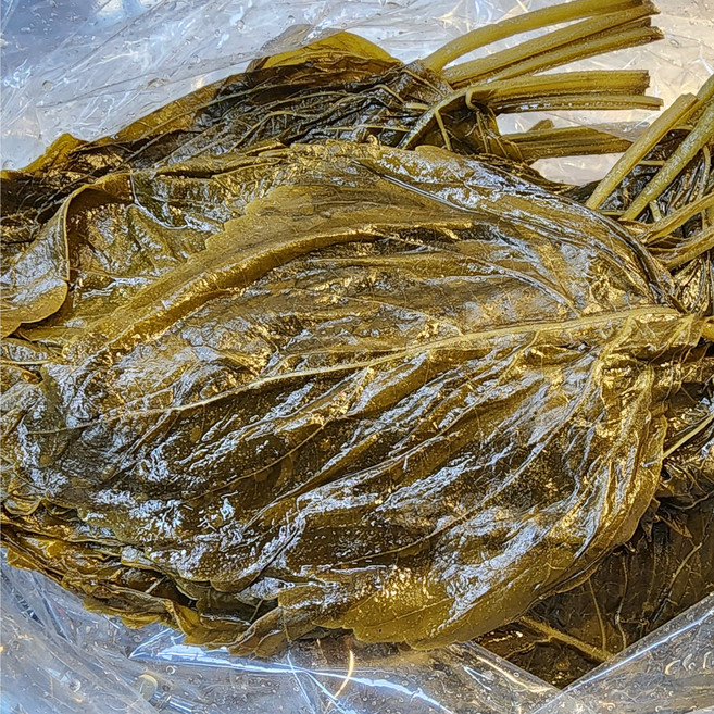 국내산 염장 깻잎지 500g, 1개