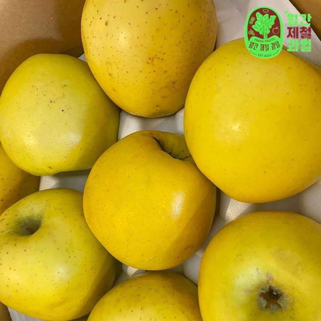 청송 시나노골드 노란 황금 사과, 1박스, 시나노골드 가정용 중대과 12-16과 5kg