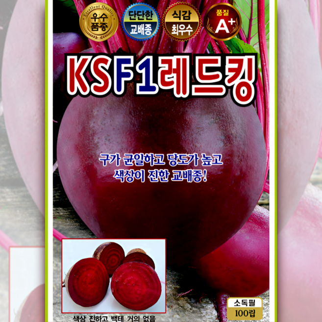 KSF1 레드킹 비트 고당도 균일구형 색상진한 교배종 씨앗 100립 가을 봄 파종용 KS, 1개