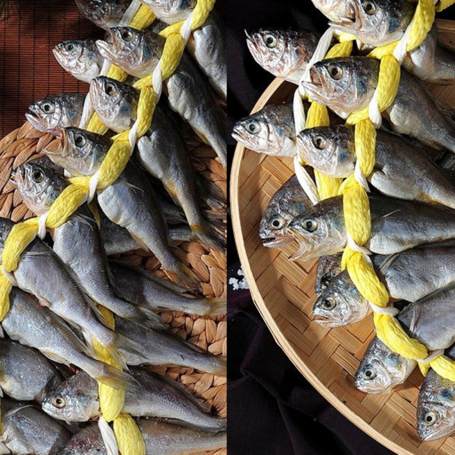 굴비애 영광 법성포 굴비 60미(18-19.5cm 4.2kg내외), 1세트