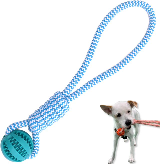 LETOJ 강아지 원형 터그놀이, 1개, 블루