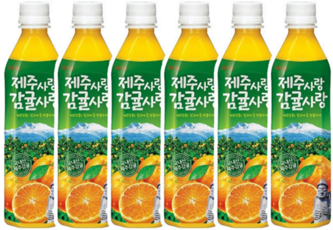롯데칠성음료 제주감귤 500ml, 6개