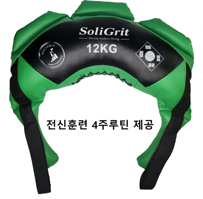솔리그릿 전신 심폐근력운동 불가리안백 무소음 홈트기구, 12kg, 그린