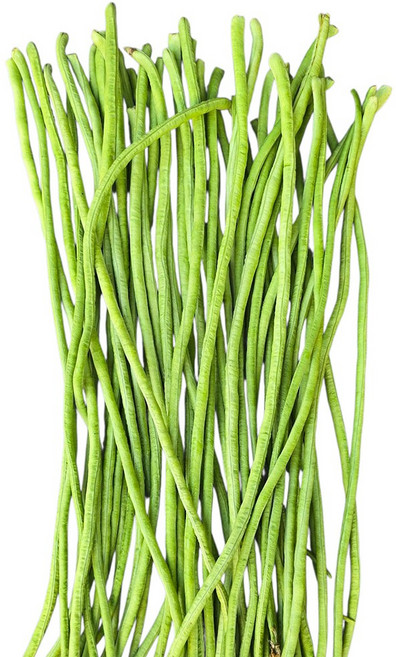 국내산 줄콩 롱빈 줄기콩 Dau dua / Long bean 동남아 식재료, 1개, 500g