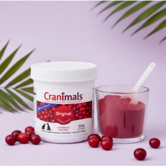 강아지 고양이 방광염약 영양제 신장 슬러지 보조제 요로 결석 약 빈뇨 혈뇨 오줌 찔끔거림 비뇨기계 질환 예방, 유리너리+결석 - 쿠팡