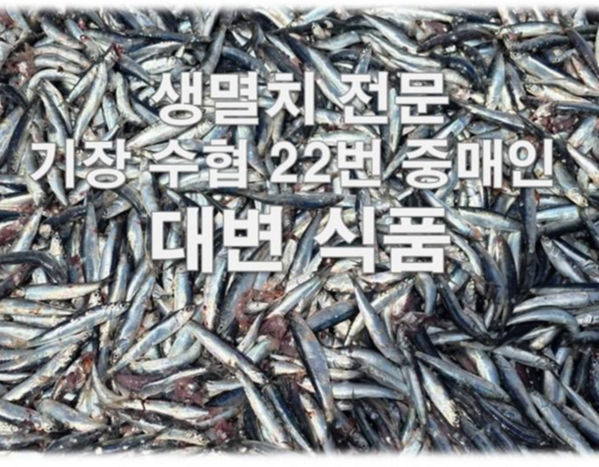 생멸치 소금간 젓갈 대변항 기장 멸치젓 멸치 김장 봄멸치 업소용 가정용, 1개, 15kg