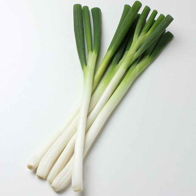 늘바른 국내산 친환경 무농약 절단대파300g5봉, 5개, 300g