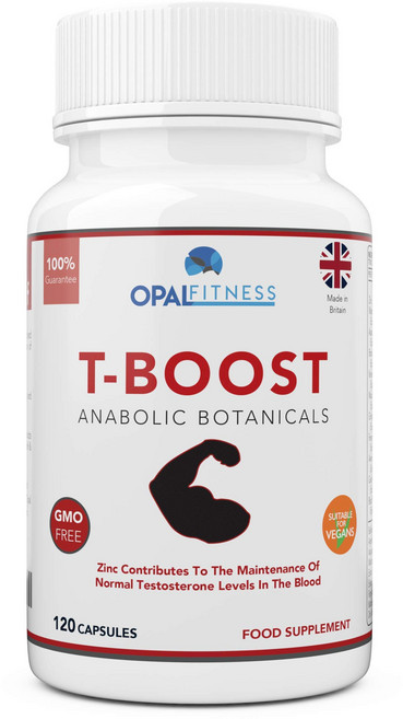 오팔 피트니스 남성용 테스토스테론 리비도 부스터 마카 루트 은행나무 한국인삼 함유 아나볼릭 매스 업 증진 스트레스와 코티솔 감소 120정, 1개