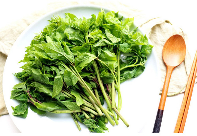 2026 햇 봄나물 방풍 세발나물 어수리 오가피순 돌 참나물 유채 곰취 머위 원추리 비름 [원산지:국산], 1개, (생)씀바귀  200g