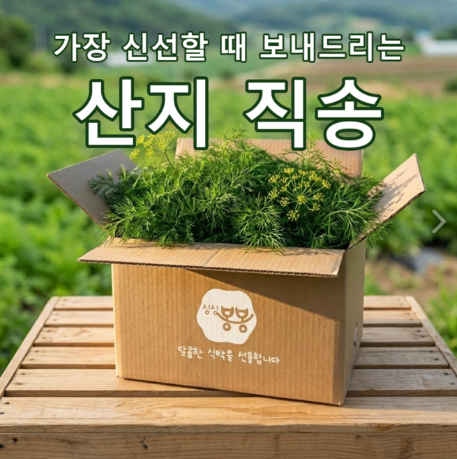 딜 생잎 특품 싱싱봉봉 Dill Dillweed 생잎 허브딜생잎 레몬딜 레몬딜버터 대용량 소용량 국내산 국내재배 산지 직송 Rau thi la, 1개, 500g