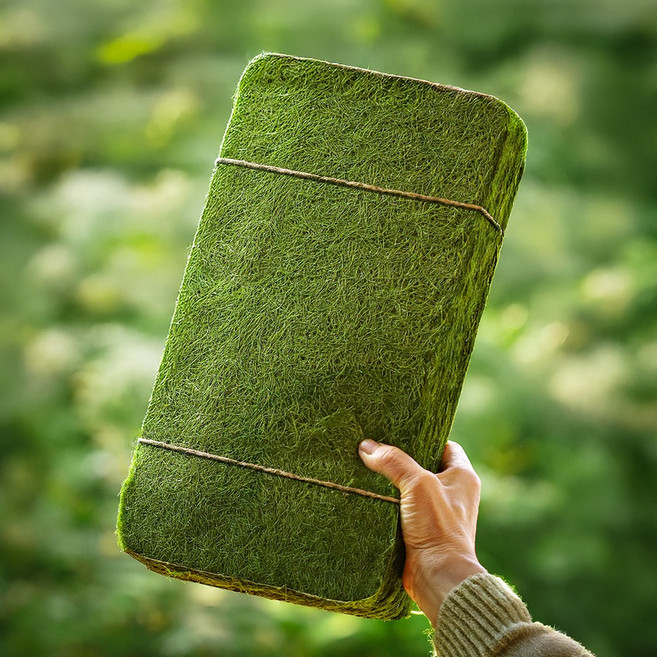 초대형 생 감태 김 미슐랭 레스토랑에서 사용 중인 감태김, 1개, 10장 선물포장박스