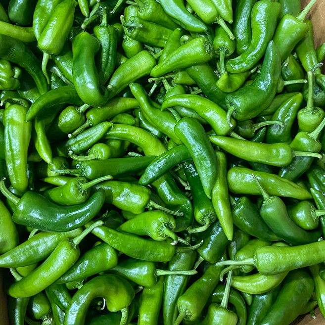 [금성식품]중국야채 중국고추 껍질얇은중국동북매운고추 조림용 1키로, 1kg, 1개