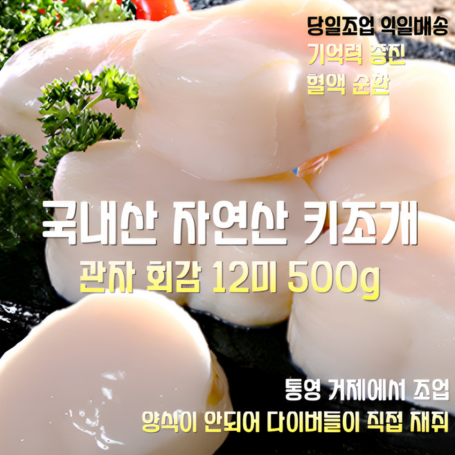 [산지직송] 국내산 자연산 새벽수확 당일배송 통영 최고급 키조개 생관자 횟감 500g 12미 재철요리 선물용 가정용, 1세트, 새벽수확 키조개 생 관자 횟감 500g 12미