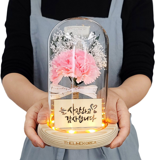 더라임코리아 LED 베이직 카네이션 유리돔 무드등 어버이날 선물, 핑크, 1개