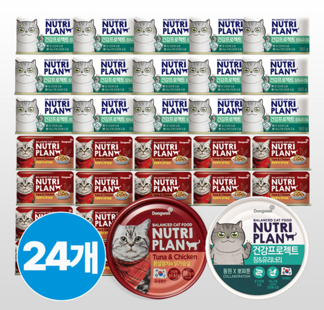 동원 뉴트리플랜 고양이캔 160g x 24개 (흰살참치와 닭가슴살 12개 + 건강프로젝트 장유리너리 12개), 1개