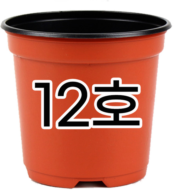 모두다 모종화분 육묘포트 삽목화분 이색포트 적색 12cm, 50개, 이색포트(적색)