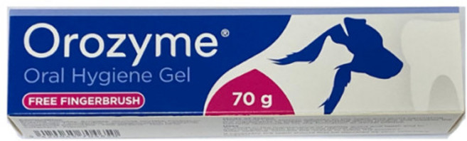 [에스틴] 오로자임 오랄 하이진 젤 70g, 3개