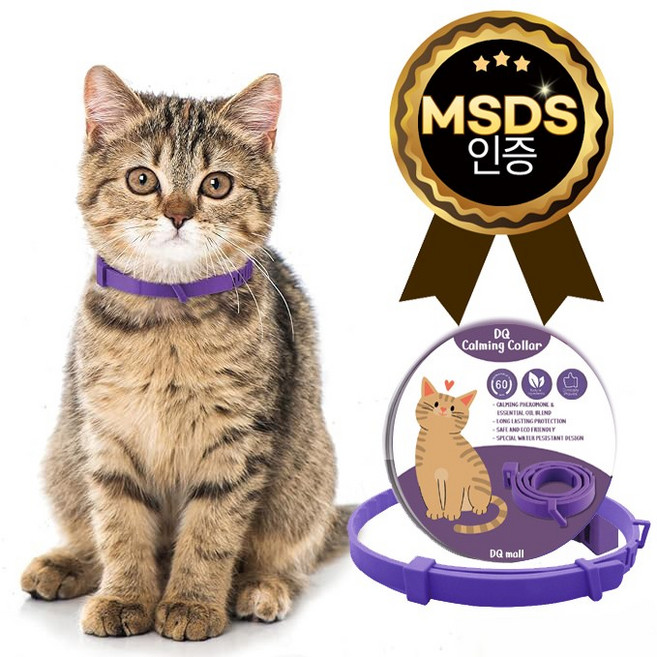 DQmall 카밍칼라 퍼플(보라색). MSDS인증제품. 고양이 진정 페로몬 스트레스 긴장 완화 이사 입양 동물병원 외출용, 1개, Purple
