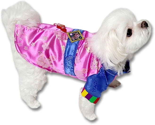 도기코디 반려동물 곤색 마고자 한복, 핑크, 1개