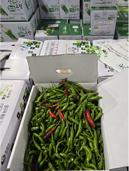국내산 나주 산지직송 반홍 청양고추 실속형/최상품 5kg 10kg(박스 포함) 알뜰농장, 1개, 반홍5kg내외