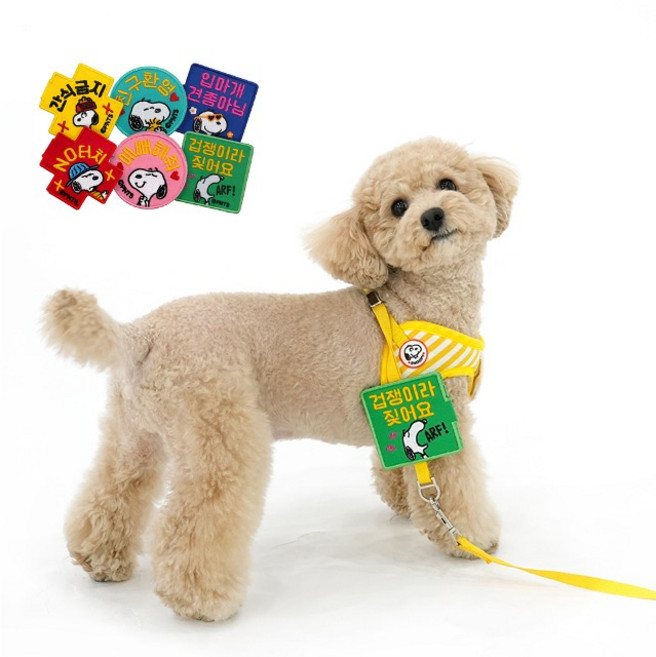 패리스독 리드줄 부착 메세지 산책 와펜, 엘로우(간식금지), 1개