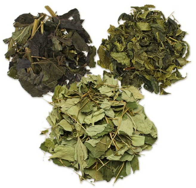 어성초200g+녹차100g+자소엽100g 국산 어자녹차 소엽차 차조기 세트