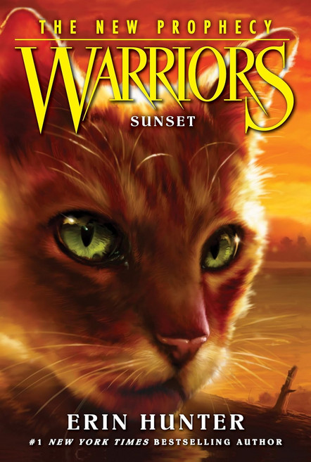 Warriors: The New Prophecy #6: Sunset, 기본